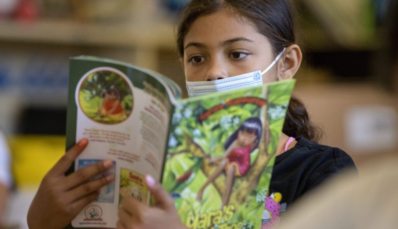 How badly did the pandemic deepen California’s early reading crisis?