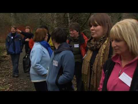 Metasaga | Creative STAR Learning